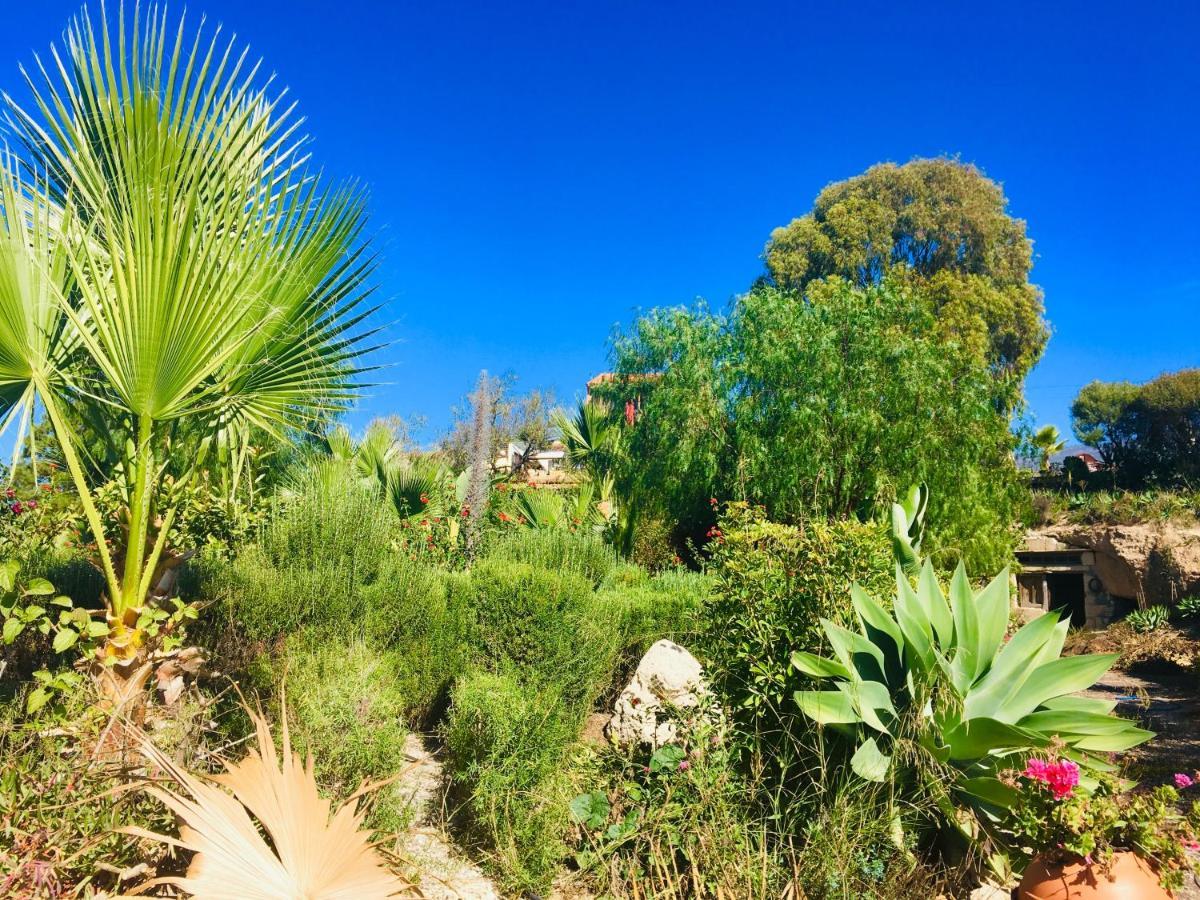 Tenerife Nature Retreat Ifonche Exterior foto